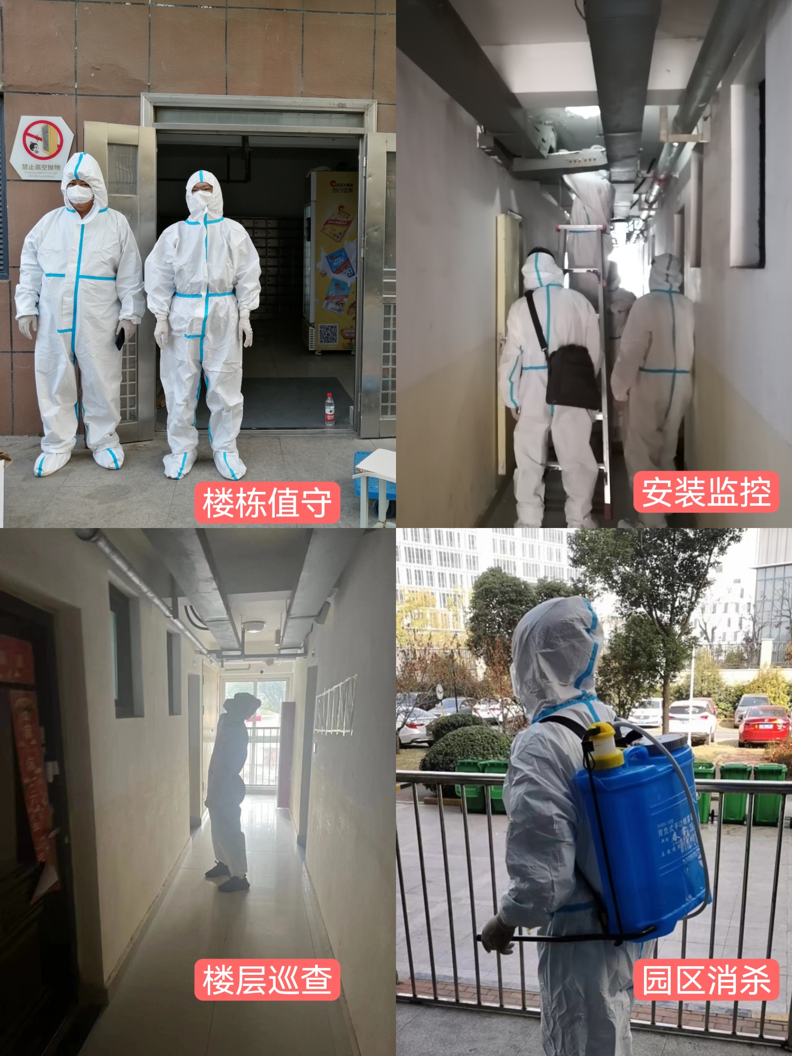 九州酷游「中国」官方网站